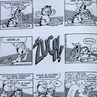 Garfield2
